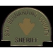 SAN BERNARDINO COUNTY SHERIFF DEPT MINPATCH PIN